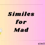 similes for mad