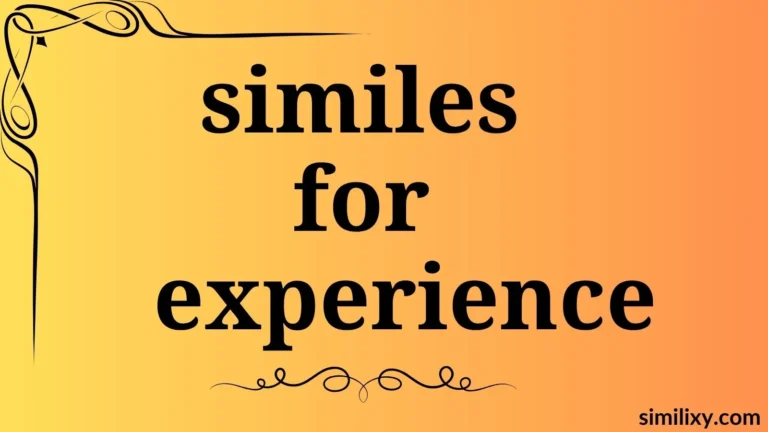 similes for experience