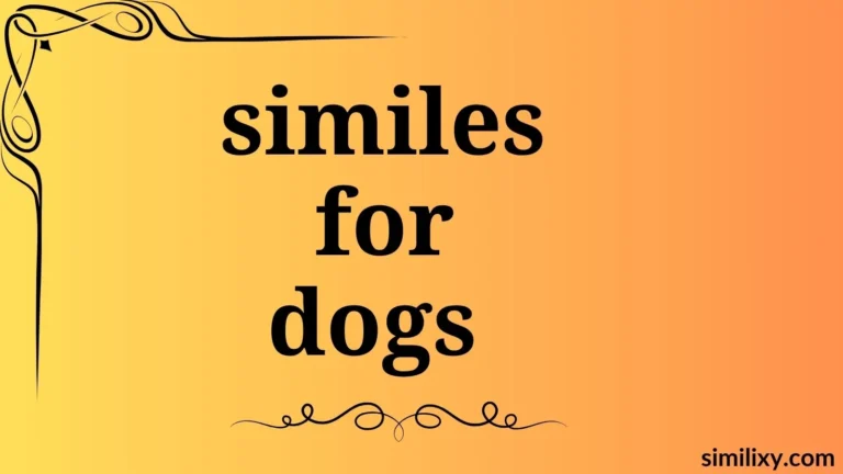 similes for dogs