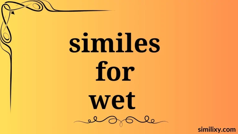 similes for wet